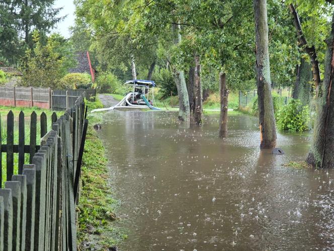 Trudna sytuacja w Małopolsce. Służby walczą z podtopieniami