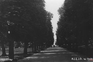To ulubione miejsce na wycieczkę z rodziną. Zobacz, jak wyglądał Nałęczów 100 lat temu!