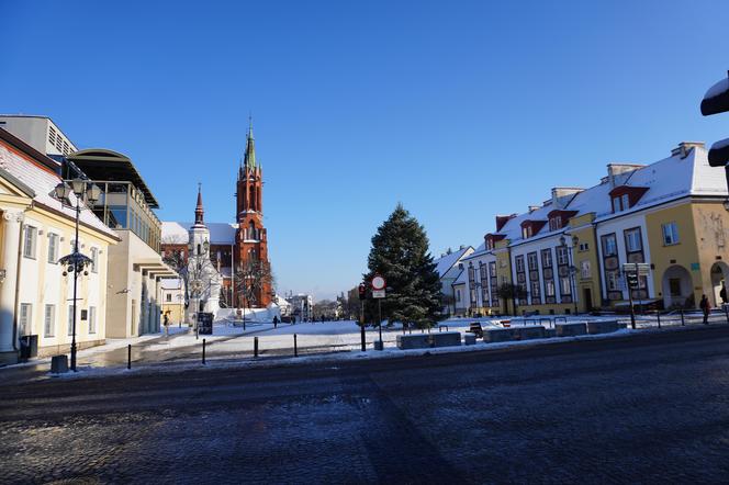 Choinka stanęła w centrum Białegostoku. 12-metrowa atrakcja gotowa na Boże Narodzenie