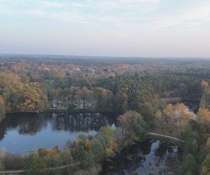 Idealne miejsce na jesienny spacer w Śląskiem - Kamień 