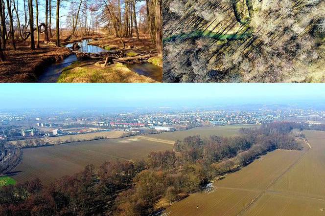 Czy na północy Krakowa powstanie park XXL?