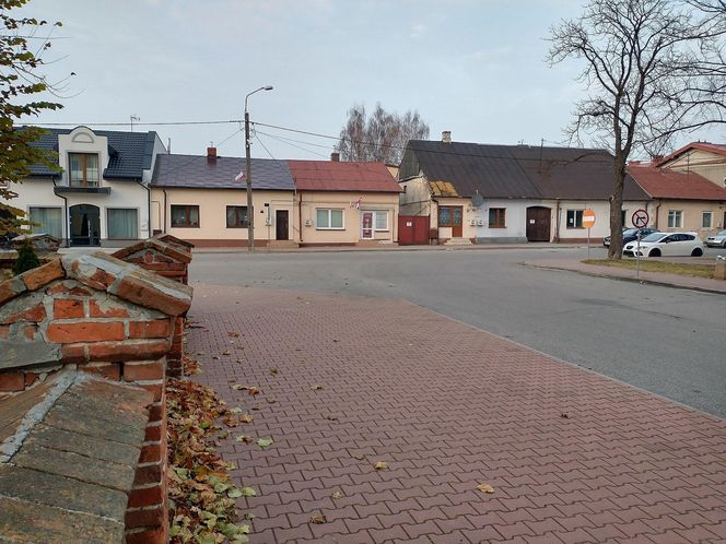 Godzinę od Warszawy leży „największy sad Europy”. To tu zabłądził sam król Kazimierz