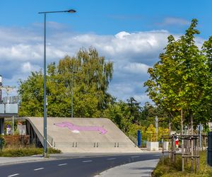 Okolice stacji metro Zacisze w Warszawie