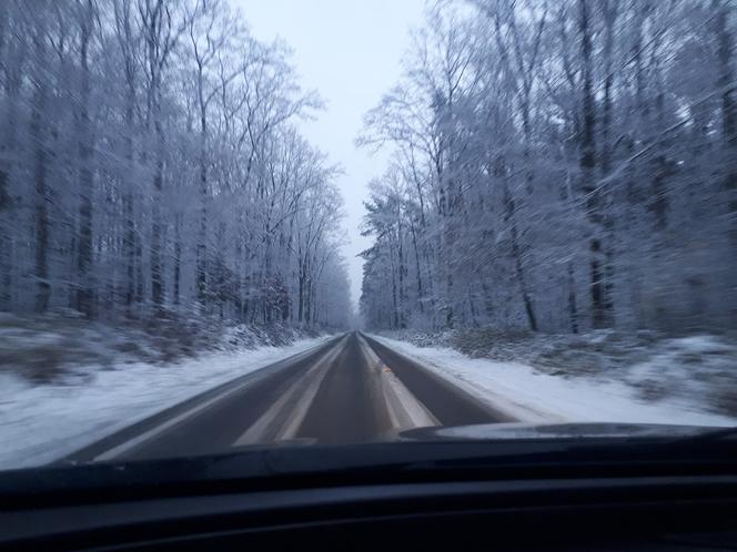 Piękna zima na Podkarpaciu. Sypnęło śniegiem [ZDJĘCIA]