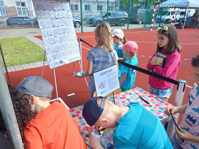 Nowa ławka Gaudiego została uroczyście odsłonięta podczas Pikniku Rodzinnego 2024 w siedleckiej "Jedynce"