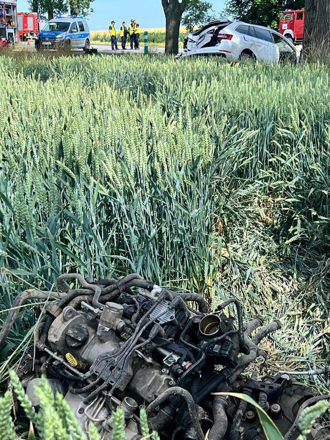 Śmiertelny wypadek na DK 38 pod Kędzierzynem-Koźlem. Policja ujawniła wstępną przyczynę tragedii [ZDJĘCIA].