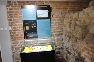 Wystawa Po śmierci ku słońcu. Cmentarzyska ciałopalne z epoki brązu i wczesnej epoki żelaza