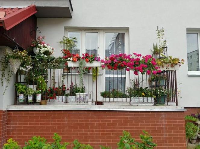 Wybrali najpiękniejsze balkony w Elblągu