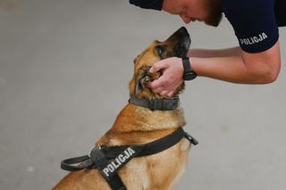 Policjanci dał dom psim emerytom