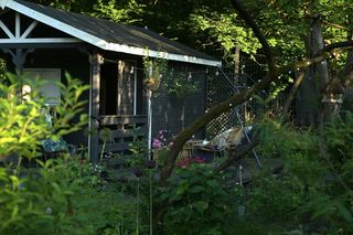 Działka ROD Mai Dereń-Błazik