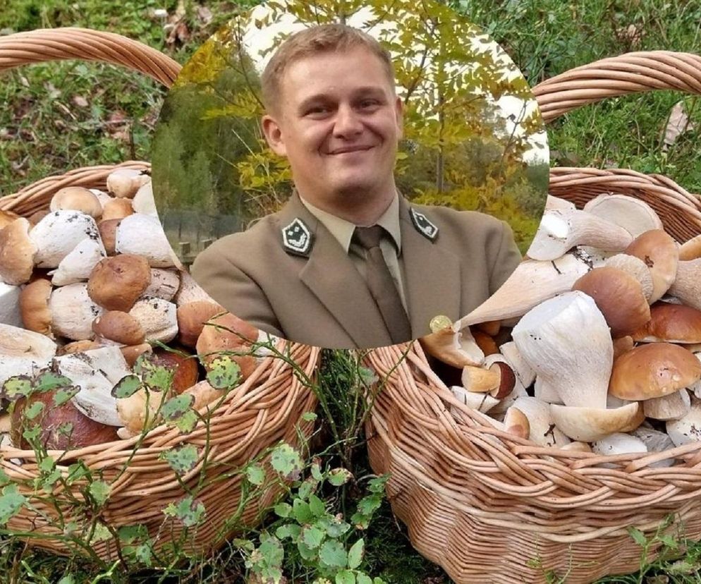 Pierwszy wysyp grzybów w Świętokrzyskiem już blisko! 