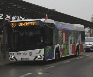 Toruń ma nową linię autobusową. Znamy trasę