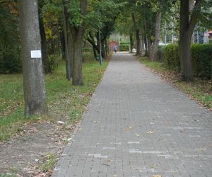 Park w Skarżysku-Kamiennej w opłakanym stanie! 