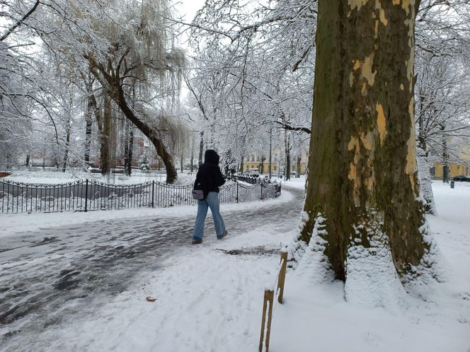 Leszno wygląda bajkowo! Na walentynki sypnęło śniegiem