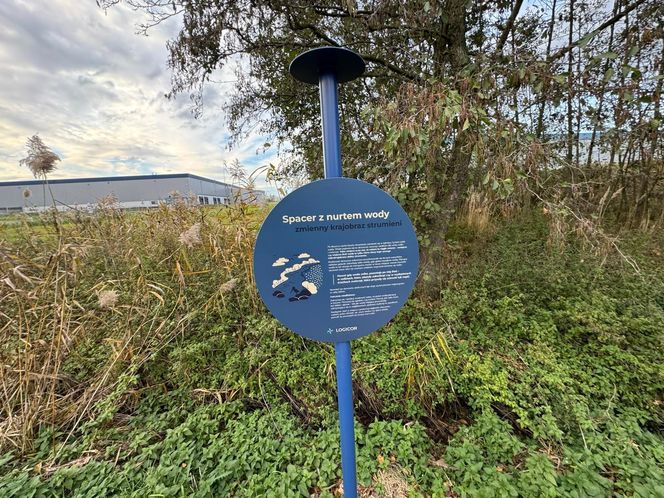 Serenity Park w Mysłowicach to nowe miejsce wypoczynku na Śląsku