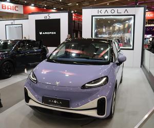 Poznań Motor Show 2024: Oto najpiękniejsza samochody! 