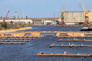 Nowy port jachtowy w Szczecinie