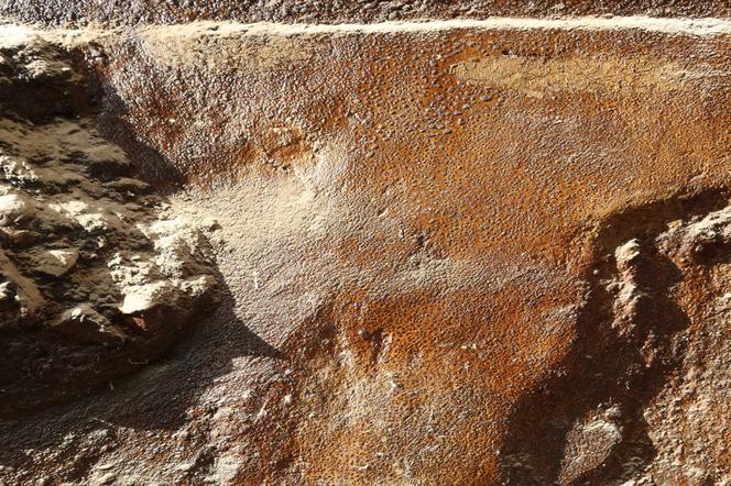 Odkryto kamienną mozaikę na dworcu w Rzeszowie[ZDJĘCIA]