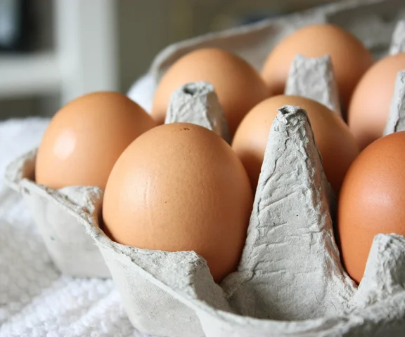 Ważne ostrzeżenie GIS. Salmonella na skorupkach jaj