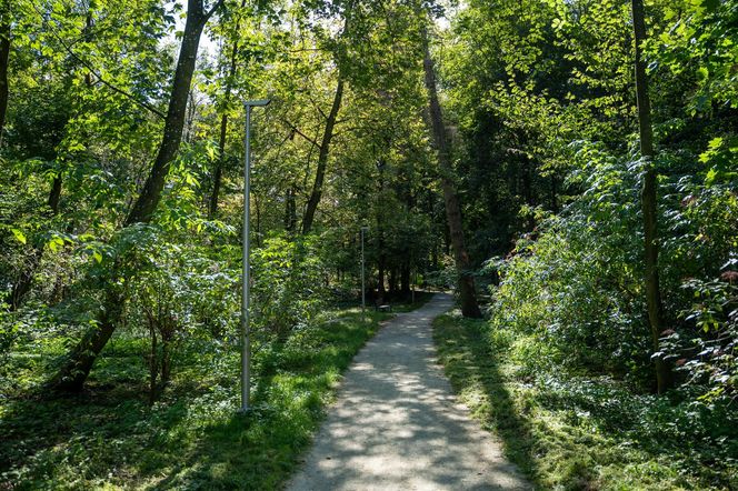 Zabytkowy park pod Lubawą zmienił się nie do poznania. Teraz wygląda jak z bajki