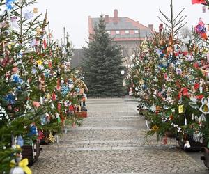 Świąteczny Rynek w Daleszycach