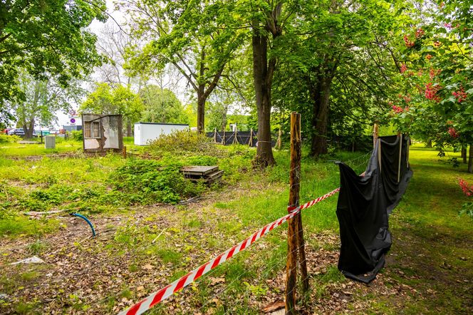 Domki fińskie na Polu Mokotowskim w trakcie odbudowy