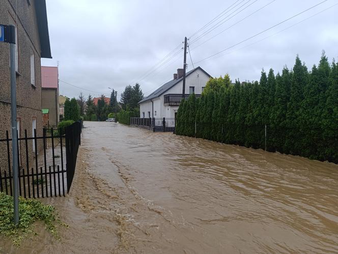 Zagrożenie powodziowe. Głuchołazy. Woda przelała się przez wały. Zalewa miasto