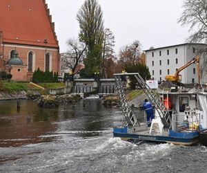 Koparki pracują na brzegu Brdy, przy farze w Bydgoszczy. To inwestycja z myślą o... rybach