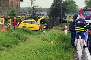 Tragiczny wypadek w Pokrzywnicy na DK 40. Zginęła 18-latka