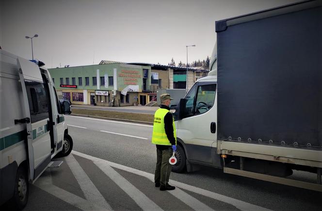 Dwóch Afgańczyków zatrzymanych w transporcie arbuzów