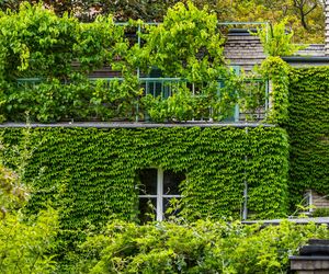 Willa Romualda Gutta na Kolonii Profesorskiej w Warszawie