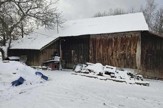 Bandyci ukradli staruszce 10 kur i koguta