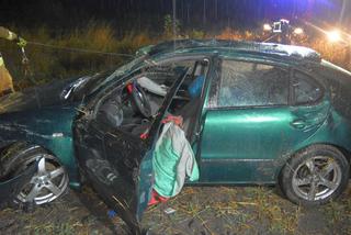 Pijany spowodował wypadek i uciekł! Znaleziono go na polu kukurydzy [ZDJĘCIA]