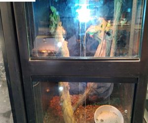 Dramatyczna interwencja w sklepie zoologicznym na Śląsku. Zwierzęta przetrzymywane w skandalicznych warunkach