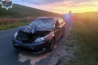 Rowerzysta zginął w czołówce z samochodem