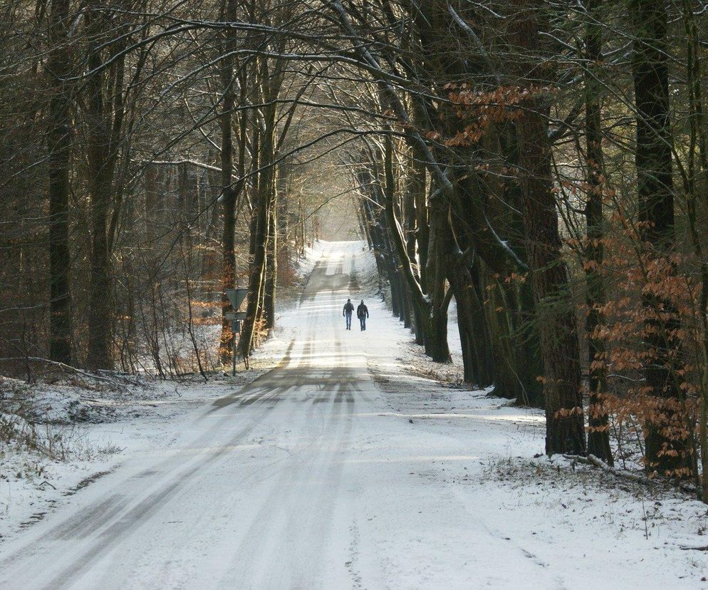 Burze, deszcz i śnieg to nie wszystko. Eksperci nie mają dobrych wieści [Prognoza IMGW na 28.11.2024]