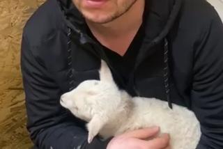 Zostałem mamą Henia