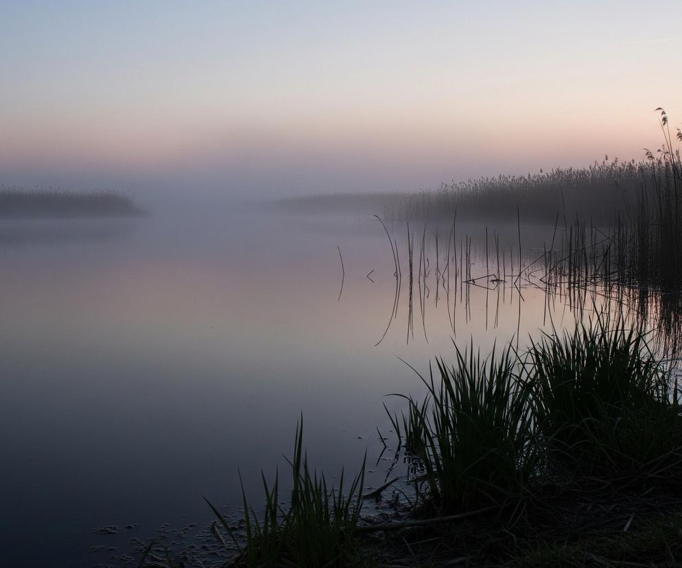 Rozległy zbiornik wodny zajmuje centralną i lewą dolną część kadru, z ciemnym, niemal czarnym brzegiem porośniętym trawą widocznym w prawym dolnym rogu. Poziom wody jest spokojny, lustrzanie odbijając delikatne, różowo-niebieskie barwy nieba, które przechodzi od jaśniejszego błękitu u góry do różowego i fioletowego odcienia w kierunku horyzontu. Gęste szuwary i trzciny wznoszą się po obu stronach zbiornika, tworząc ciemne sylwetki na tle zamglonego nieba, z ich odbiciami widocznymi w wodzie. Mgła unosi się nad wodą, zmiękczając kontury dalszego planu i nadając scenie eteryczny charakter.