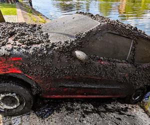 Mieszkaniec Elbląga odzyskał fiata seicento po 15 latach! Auto było zatopione w rzece [ZDJĘCIA]. 