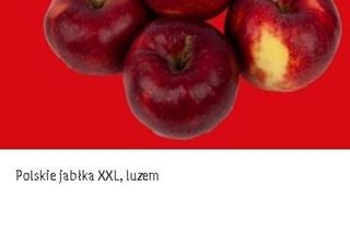 Polskie jabłka XXL, luzem - 1,99 zł/1 kg