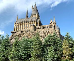 Harry Potter QUIZ. Wirtualna Tiara Przydziału! Do jakiego domu w Hogwarcie byś trafił? 