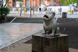 Legendarna atrakcja turystyczna w Białymstoku w nowym miejscu. Sprawdź, gdzie teraz jej szukać!