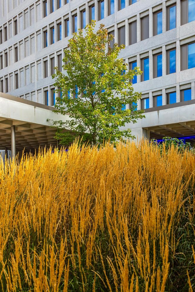 Nowy budynek Wydziału Psychologii Uniwersytetu Warszawskiego