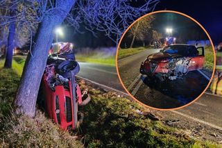 Dachowanie w miejscowości Giebło. Poszkodowane dwie osoby, w tym dziecko