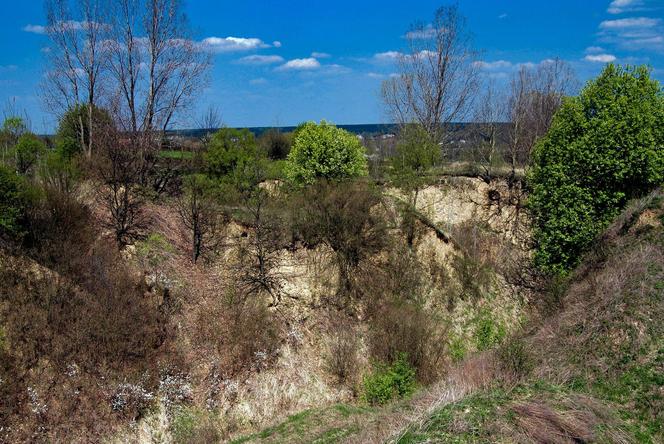 Burmistrza Wąchocka Jarosława Sameli - pasja fotografowanie