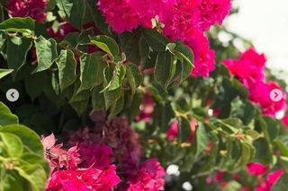 Raj na ziemi i naga Katarzyna Zielińska? Aktorka pokazała odważne zdjęcie z wakacji