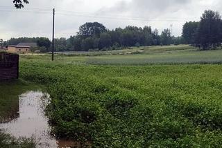 Skutki burz na Śląsku. Wiatr połamał drzewa, woda zalała domy