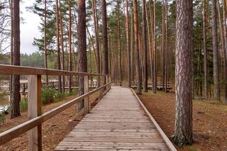 To najładniejsza trasa widokowa w woj. lubelskim. AI uzasadnia swój wybór 