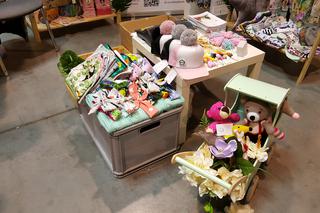 Targi Rodzice i Dzieciaki w Expo Silesia w Sosnowcu