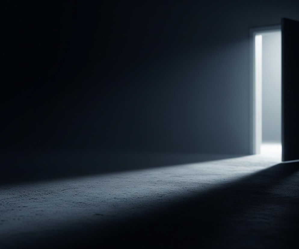 Otwarta na oścież ciemna powierzchnia drzwiowa o kształcie prostokąta widoczna jest po prawej stronie obrazu, lekko odsunięta od framugi. Zza niej wydobywa się jasne, rozproszone światło, tworząc długi, trapezoidalny cień na szarej, teksturowanej podłodze, która stopniowo przechodzi w głęboką czerń po lewej stronie obrazu. Całe otoczenie jest utrzymane w ciemnych, monochromatycznych barwach, z wyjątkiem intensywnego blasku wydobywającego się zza drzwi.